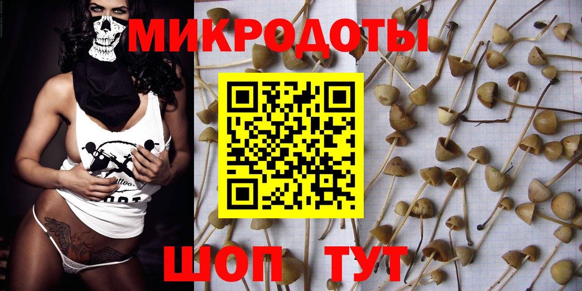 Псилоцибиновые грибы мицелий Кирово-Чепецк