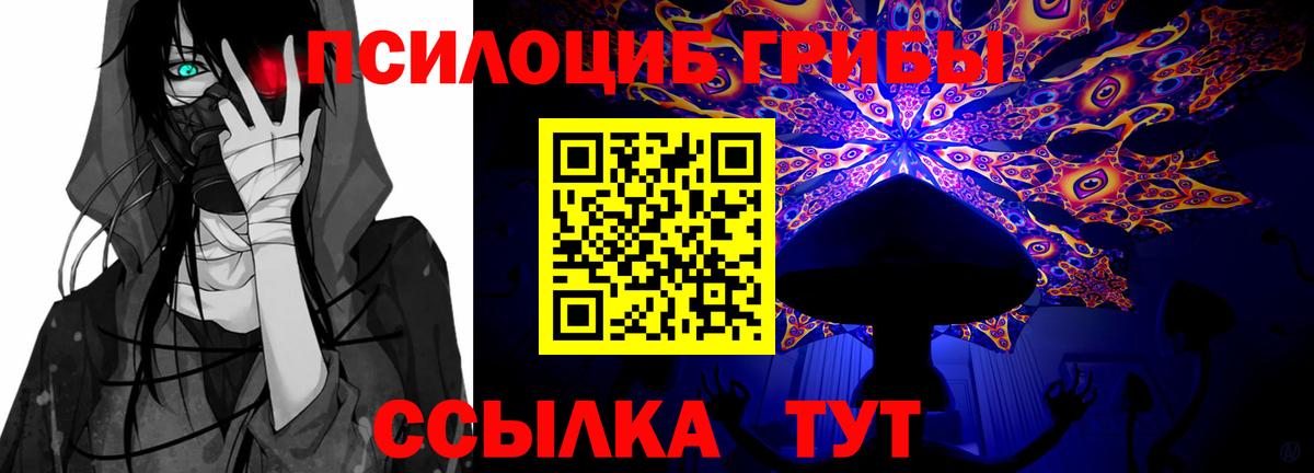 Кирово-Чепецк  Псилоцибиновые грибы Cubensis  Вход с VPN  Псилоцибиновые грибы MAGIC MUSHROOMS 